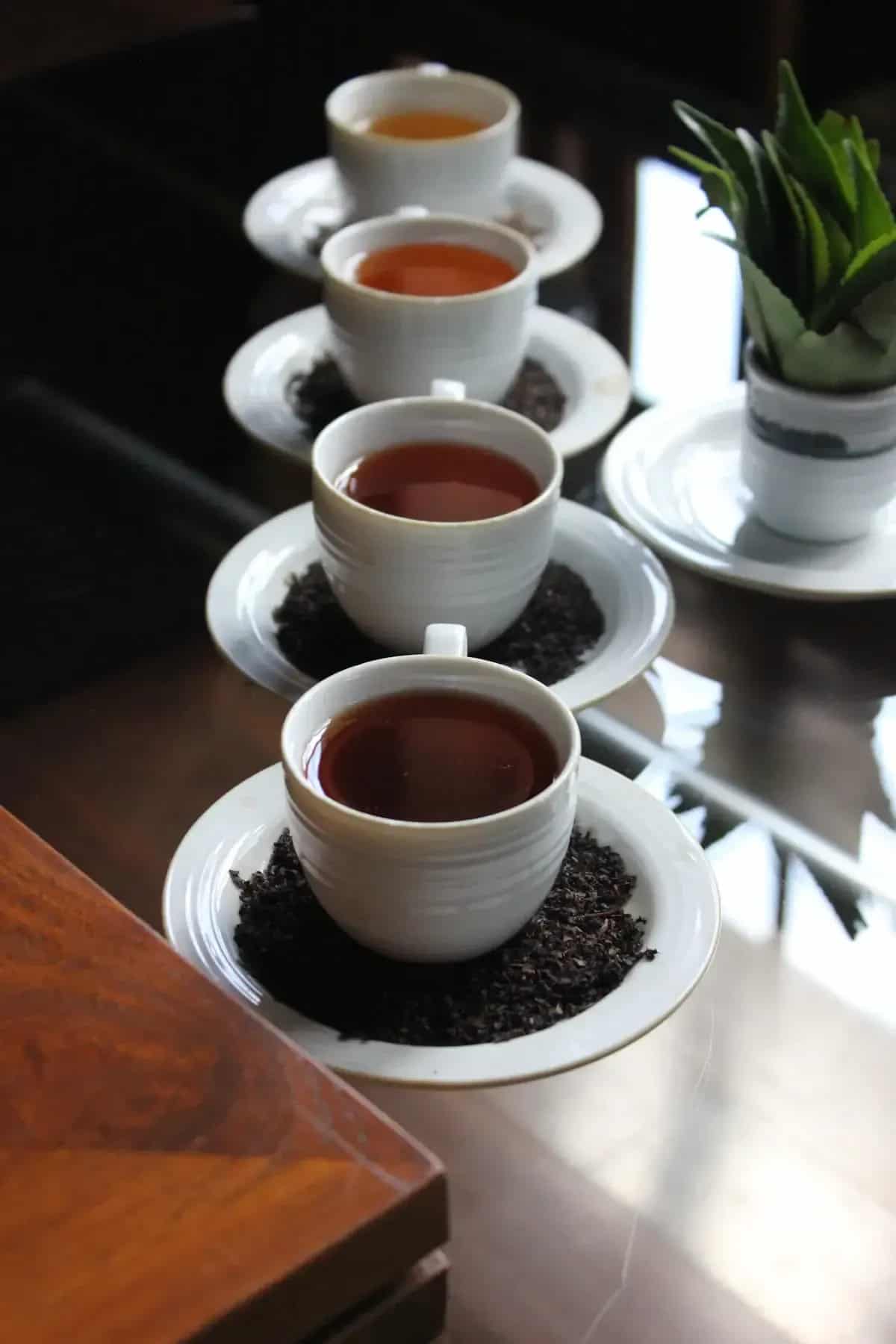 Cups of Ceylon tea on a veranda