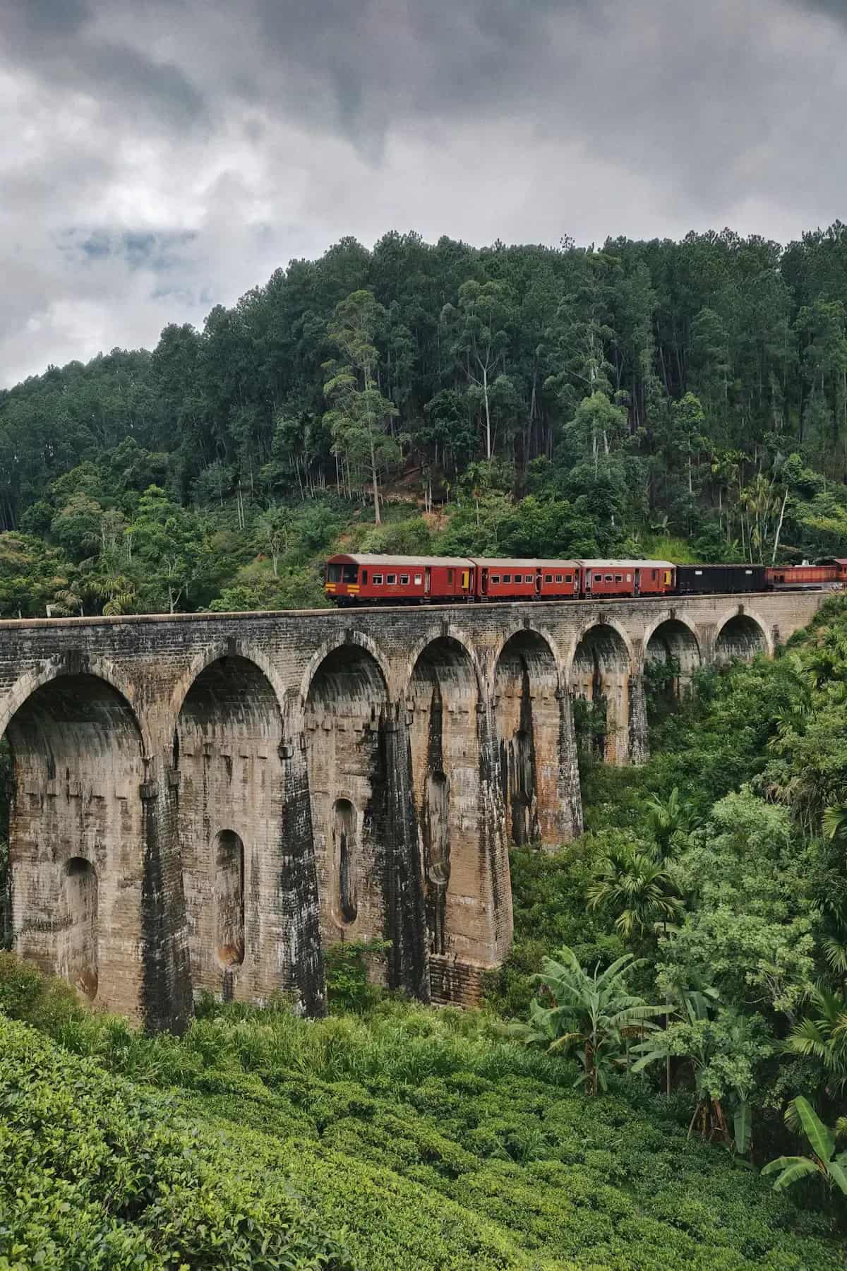 Train journey through the hill country