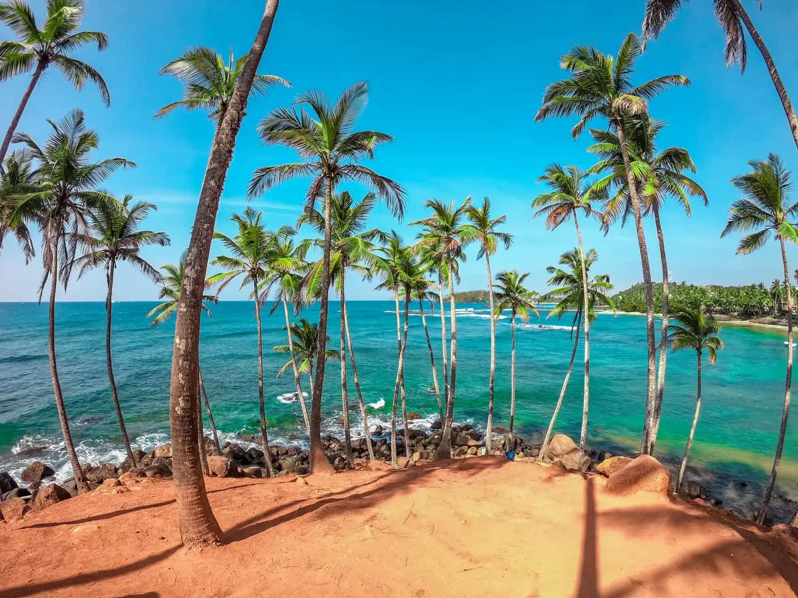 Palm-lined beach on Sri Lanka’s south coast