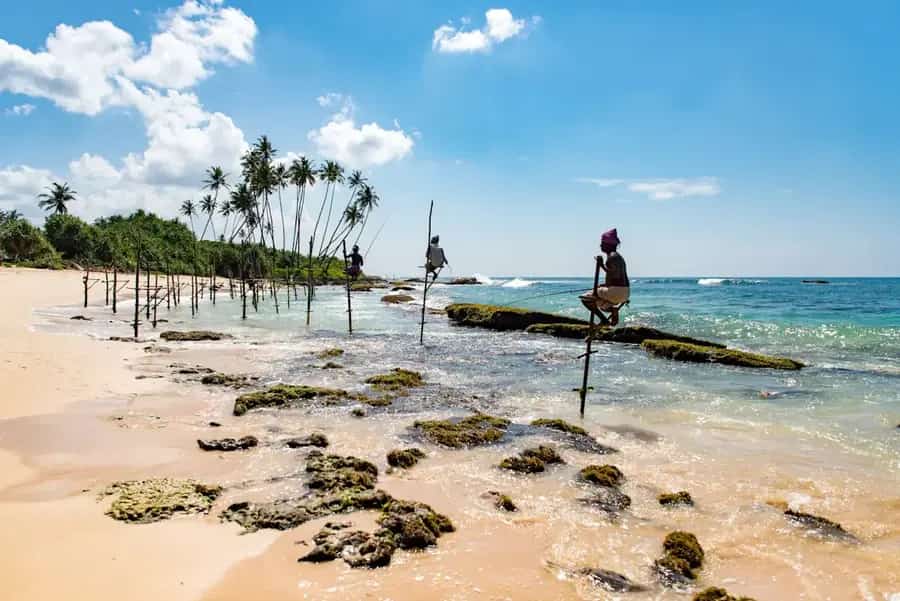 Stilt fishermen at Koggala