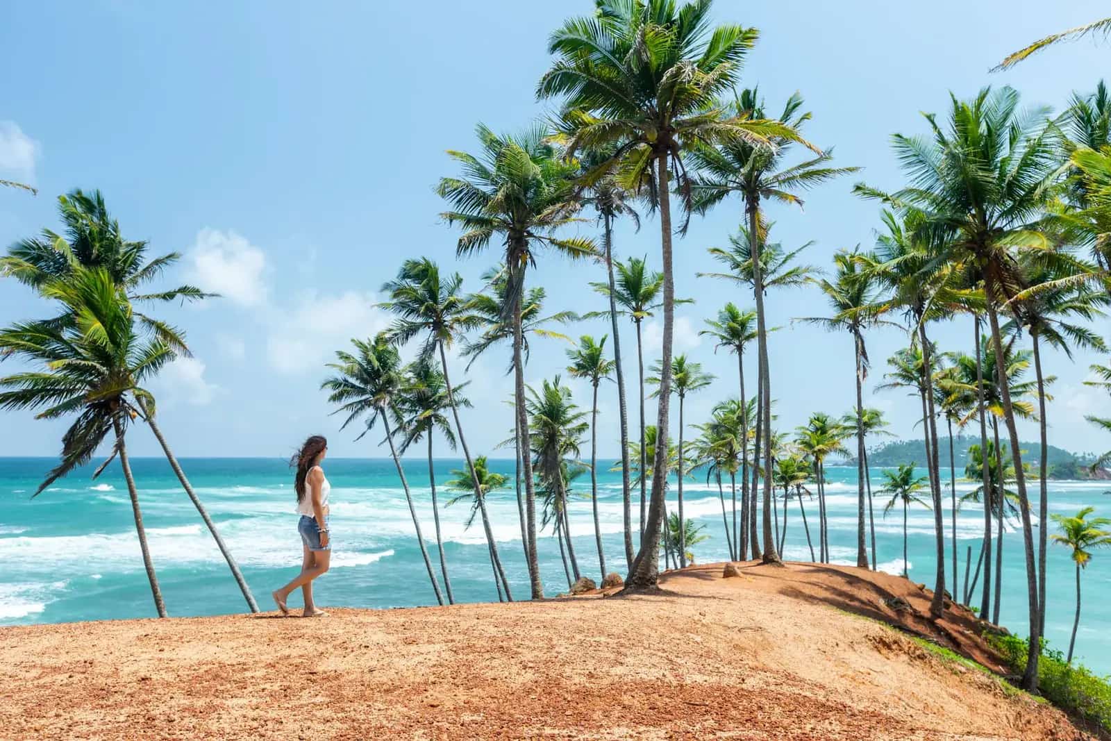 Palm trees on a quiet beach in Sri Lanka