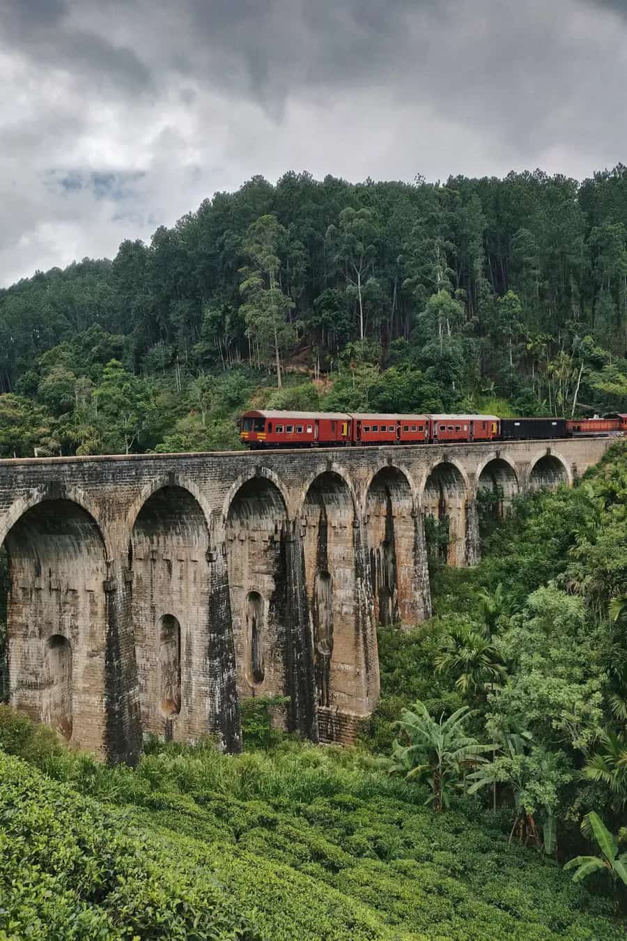 Train journey through the hill country