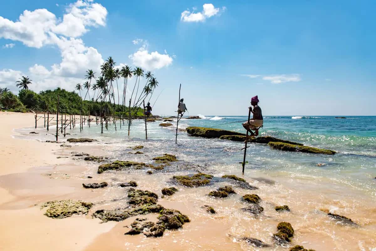 Galle