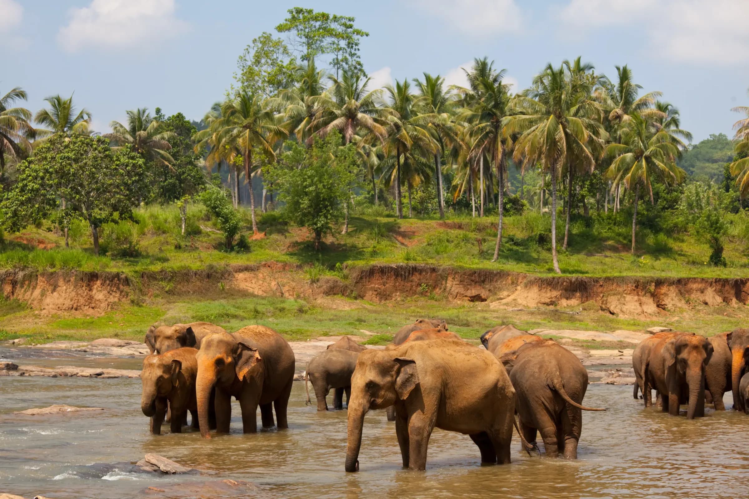 Sri Lanka travel brochure: Family Classic (PDF)